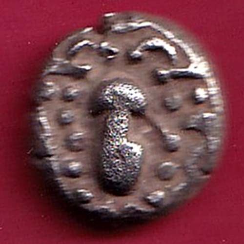 ANCIENT INDIA GADHAYA DYNASTY KING PORTRAIT COIN:-OO2318
