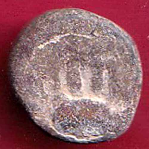 medival coins of india ishvaku dynasty animal potraite lead coin– S2917
