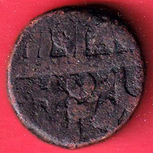 HAVAD NAGIBAD FISH COIN -oo5601