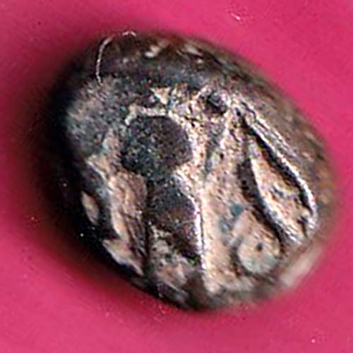 ANCIENT INDIA GADHAYA DYNASTY KING PORTRAIT COIN :- OO2807