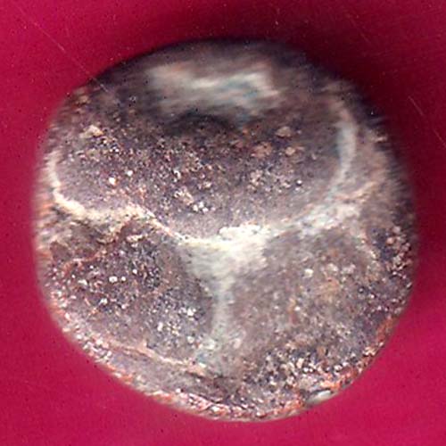 medival cins of india ishvaku dynasty animal potraite lead coin  :- OO1072